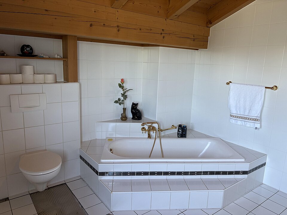 weiteres Bild Tageslichtbad