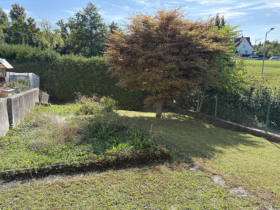 Garten