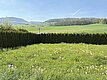 Aussicht in den Garten und die Umgebung vom Essbereich / Küche
