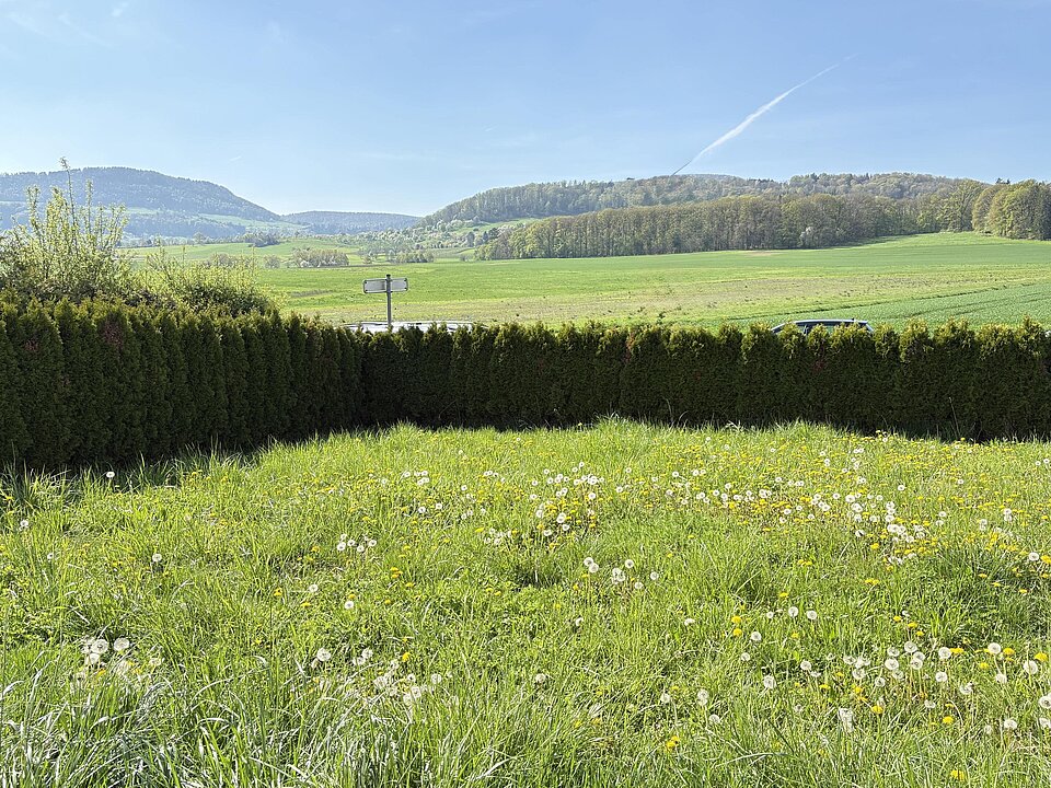Aussicht in den Garten und die Umgebung vom Essbereich / Küche