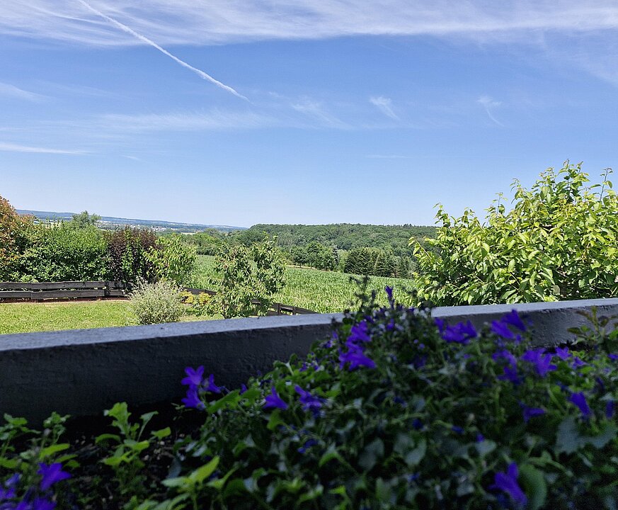 Ausblick vom Balkon im Erdgeschoss