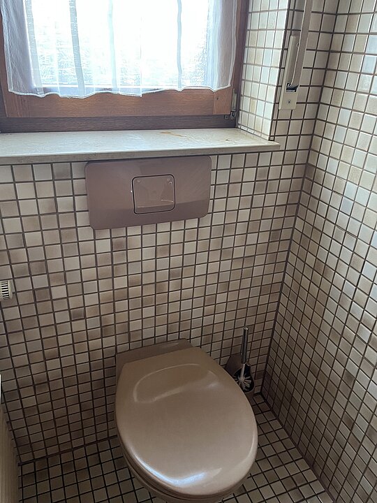 Tageslich-WC