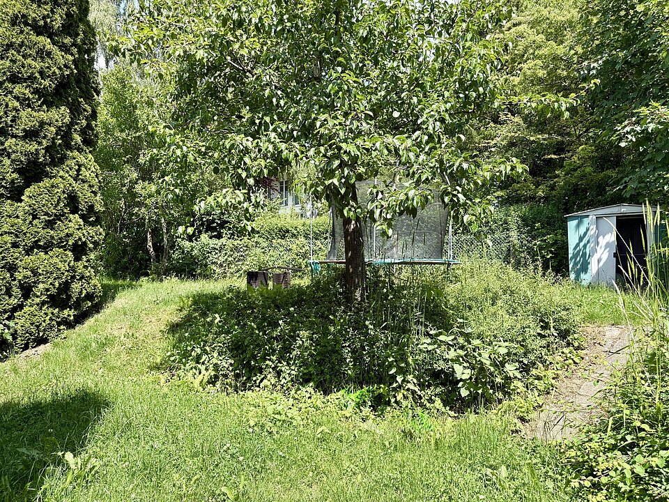 Gartenfläche hinter dem Haus