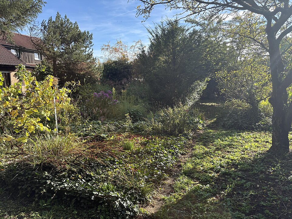 Garten / weitere Baufläche