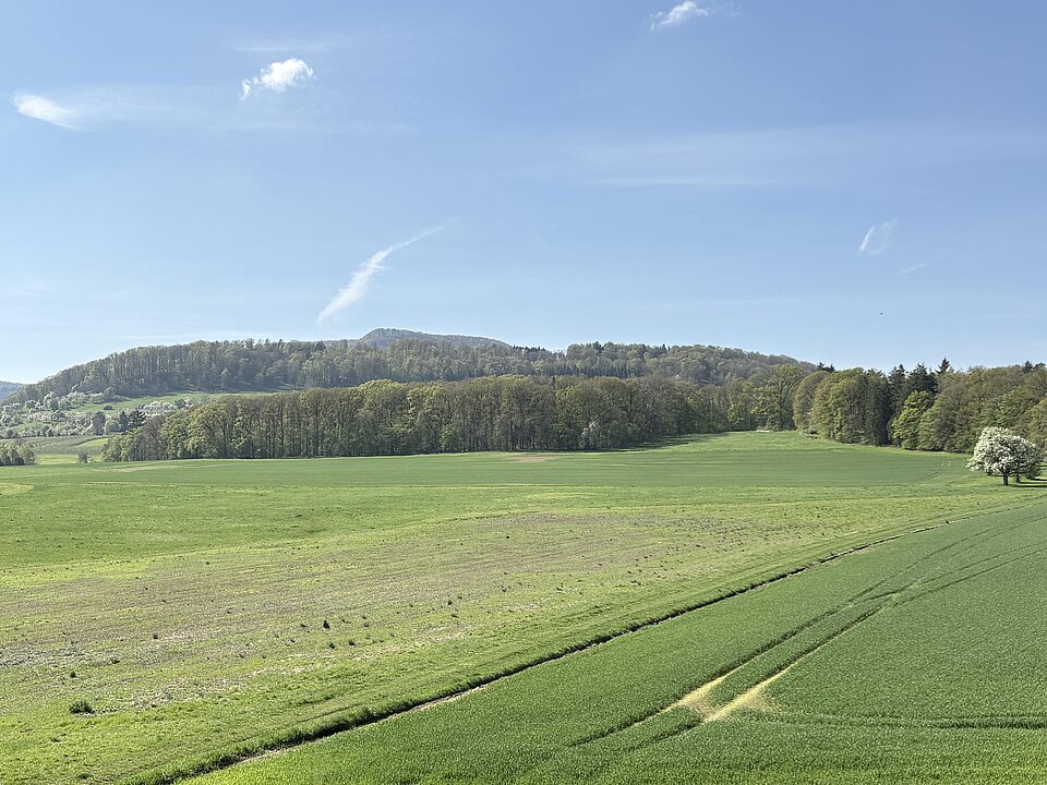 Aussicht vom Zimmer im DG