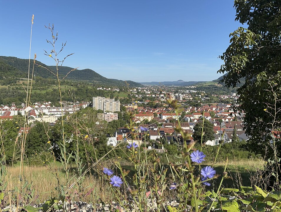 Unverbaubarer Ausblick vom Garten aus