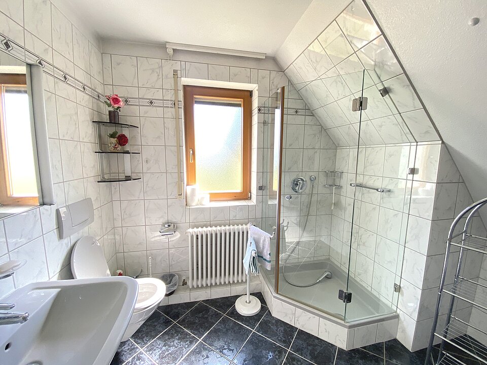 Duschbad Einliegerwohnung