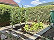 Gemüsebeet im Garten