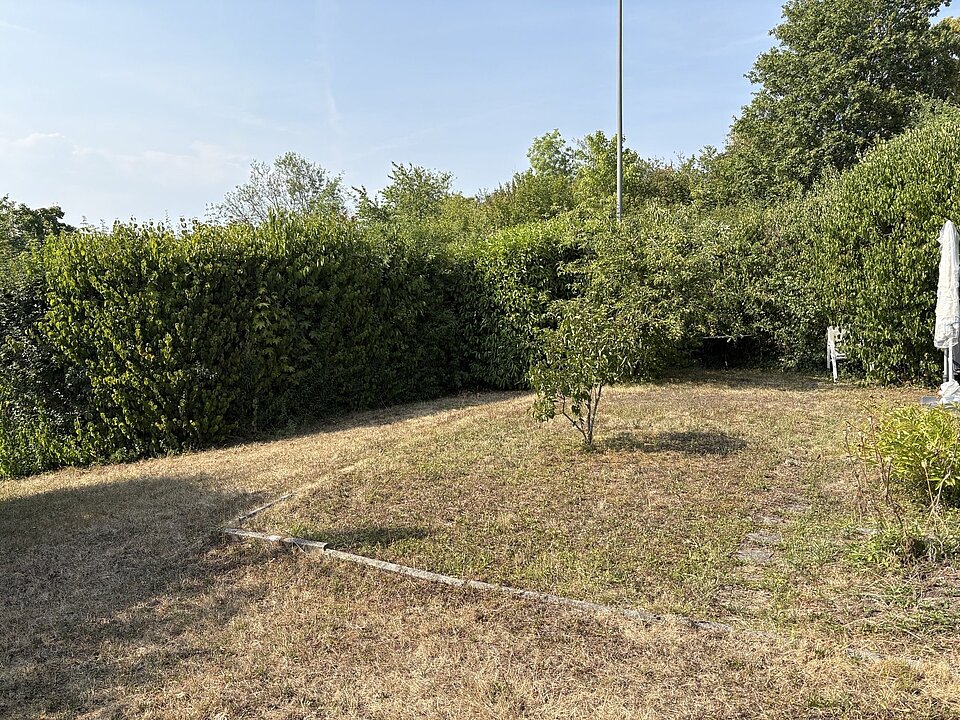 Gartenfläche