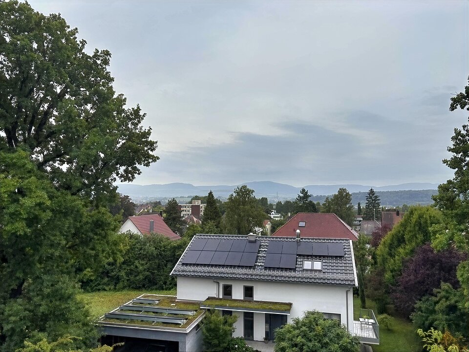 Toller Blick