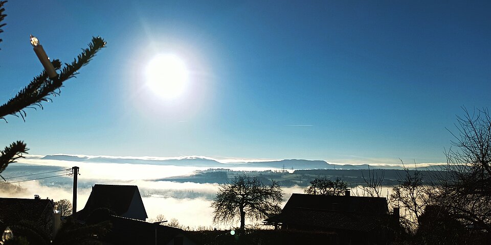 Winterimpression