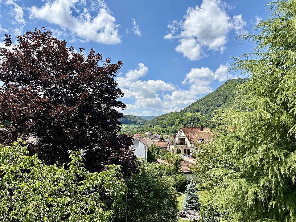 Aussicht aus Kinderzimmer 3