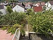 Ansicht Garten